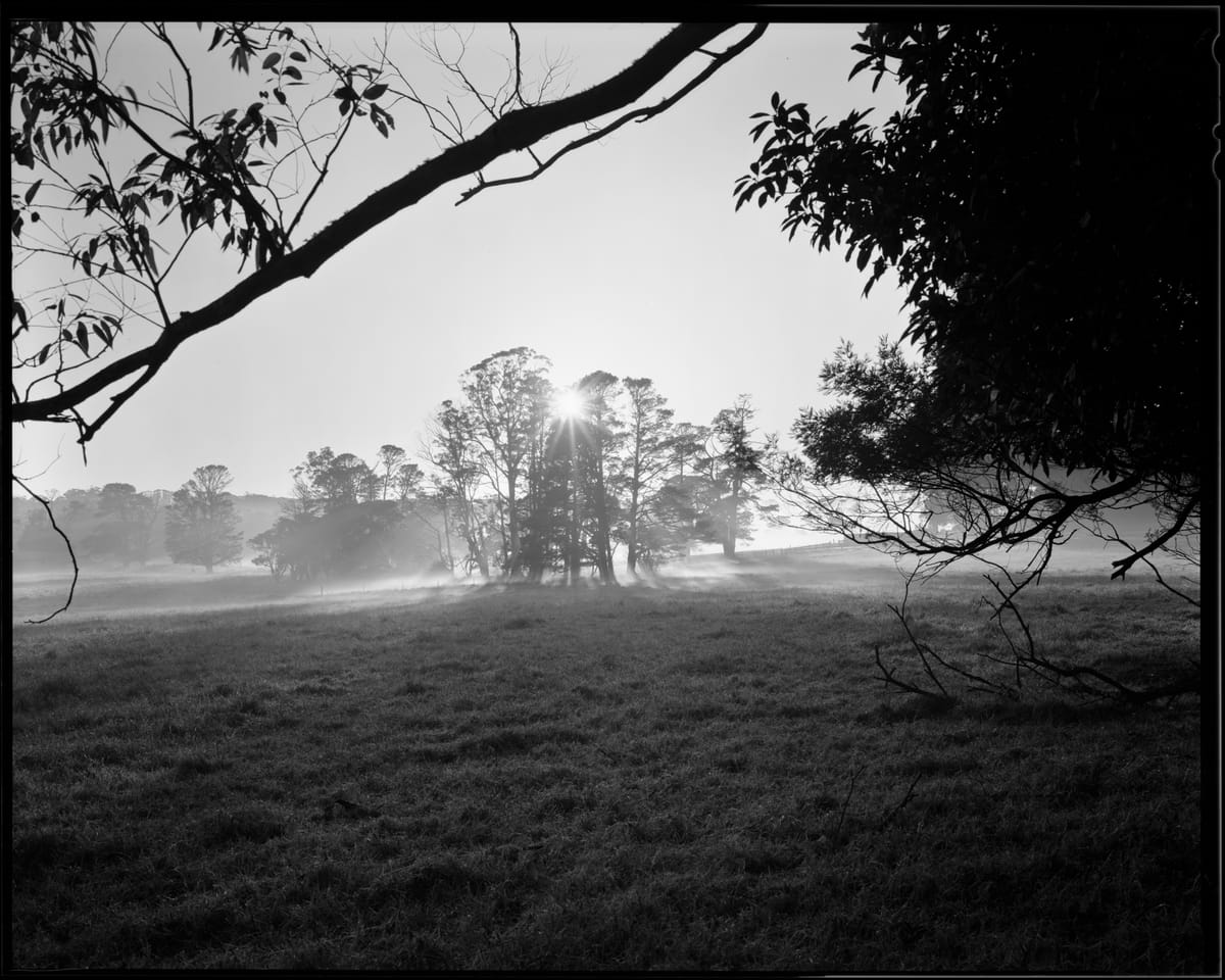 Landscapes